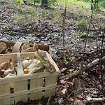 Apartamento Naturidyll Teufelsmauer