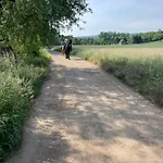 Naturidyll Teufelsmauer *