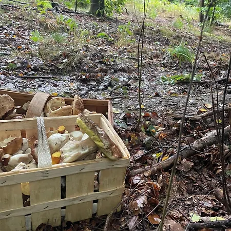 Appartement Naturidyll Teufelsmauer