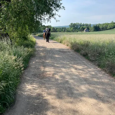 Naturidyll Teufelsmauer *