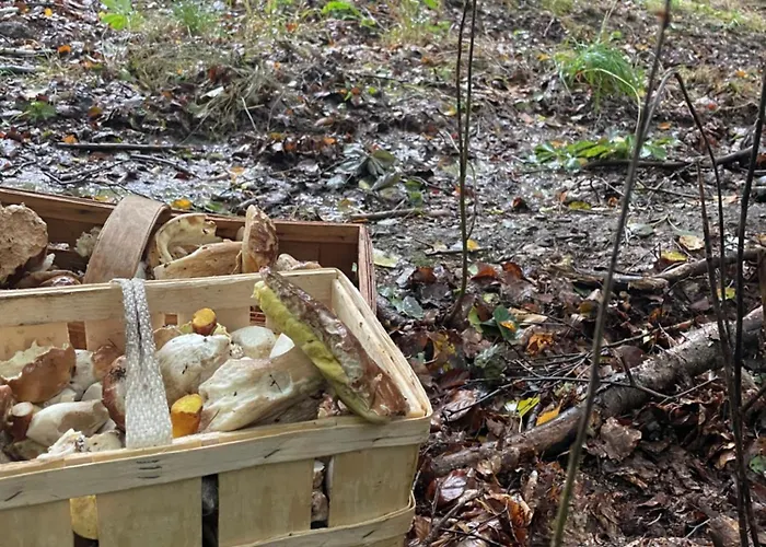 Apartamento Naturidyll Teufelsmauer