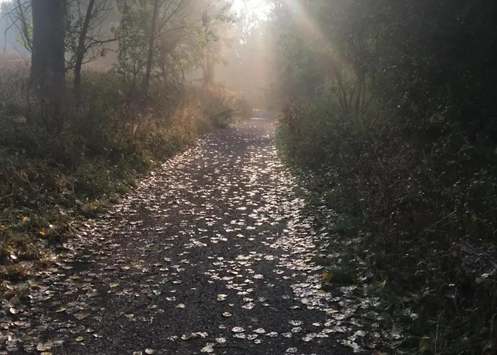 公寓 Naturidyll Teufelsmauer *