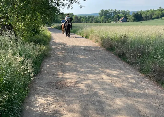 Naturidyll Teufelsmauer *
